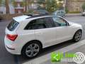 Audi Q5 3.0 V6 TDI 245 CV quattro  Advanced Plus SQ5 Blanc - thumbnail 5