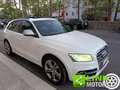 Audi Q5 3.0 V6 TDI 245 CV quattro  Advanced Plus SQ5 Blanc - thumbnail 7