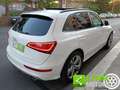 Audi Q5 3.0 V6 TDI 245 CV quattro  Advanced Plus SQ5 Blanc - thumbnail 26