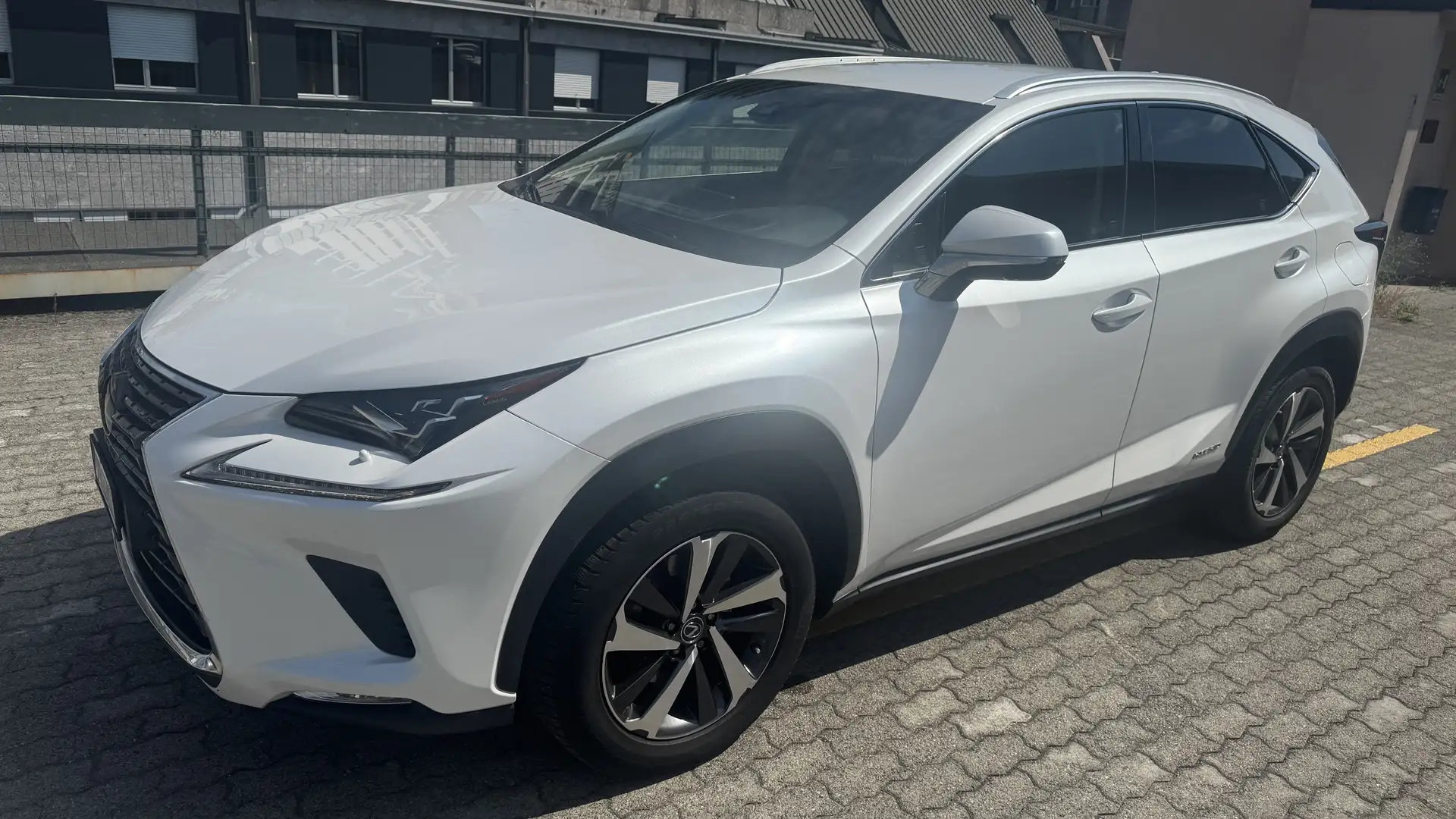 Lexus NX 300h LUXURY K. 360, mark levinson HUD HA TUTTO Bianco - 1