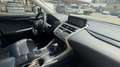 Lexus NX 300h LUXURY K. 360, mark levinson HUD HA TUTTO Bianco - thumbnail 4