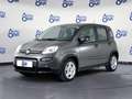Fiat Panda 1.0 Hybrid 70Cv City St - CarPlay - autoone.it Gris - thumbnail 1