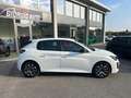 Peugeot 208 1.2 puretech Active s&s 100cv Blanco - thumbnail 17