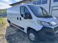 Fiat Ducato Fiat ducato 2.3 Wit - thumbnail 3