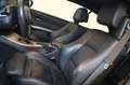 BMW 320 i Cabrio M Sport Xenon-Leder-SHZ-PDC-MFL-MP3 Weiß - thumbnail 12