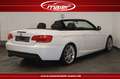 BMW 320 i Cabrio M Sport Xenon-Leder-SHZ-PDC-MFL-MP3 Weiß - thumbnail 4
