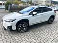Subaru XV XV 1.6i Lineartronic Style - Bi-fuel Bianco - thumbnail 7