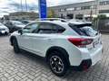 Subaru XV XV 1.6i Lineartronic Style - Bi-fuel Bianco - thumbnail 8