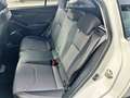 Subaru XV XV 1.6i Lineartronic Style - Bi-fuel Bianco - thumbnail 13
