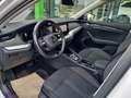 Skoda Octavia Combi First Edition 2.0 TDI DSG DPF AHK NAVI Weiß - thumbnail 11