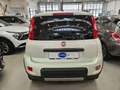 Fiat New Panda Panda 0.9 t.air t. 4x4 s&s 85cv Weiß - thumbnail 5