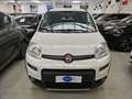 Fiat New Panda Panda 0.9 t.air t. 4x4 s&s 85cv Weiß - thumbnail 2