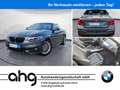 BMW 220 i Cabrio M Sport Navi Prof. RFK HiFi Komfortz Gris - thumbnail 1