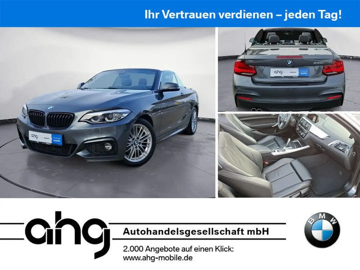 BMW 220 i Cabrio M Sport Navi Prof. RFK HiFi Komfortz Gris - 1