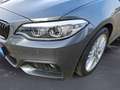 BMW 220 i Cabrio M Sport Navi Prof. RFK HiFi Komfortz Gris - thumbnail 13