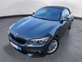 BMW 220 i Cabrio M Sport Navi Prof. RFK HiFi Komfortz Gris - thumbnail 14