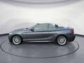 BMW 220 i Cabrio M Sport Navi Prof. RFK HiFi Komfortz Gris - thumbnail 3