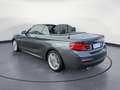 BMW 220 i Cabrio M Sport Navi Prof. RFK HiFi Komfortz Gris - thumbnail 4