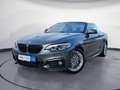 BMW 220 i Cabrio M Sport Navi Prof. RFK HiFi Komfortz Gris - thumbnail 2