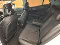 Kia Sportage 1,6 TGDI 48V Gold AWD DCT Weiß - thumbnail 7