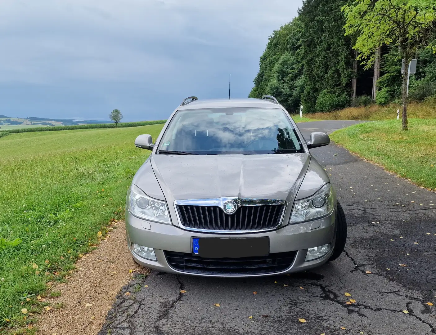 Skoda Octavia Octavia II Combi Combi 1.8 TSI Ambiente Gris - 2