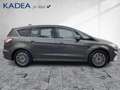 Ford S-Max 2.0 EcoBlue Titanium Pano*AGR*AHK*elHeckkl Gris - thumbnail 5