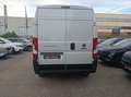Fiat Ducato 35 2.2 Mjt 140CV PM-TM Furgone Blanc - thumbnail 7