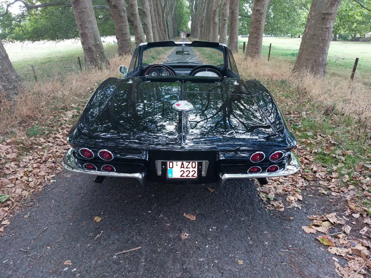 Chevrolet Corvette C2 stingray, foto 5