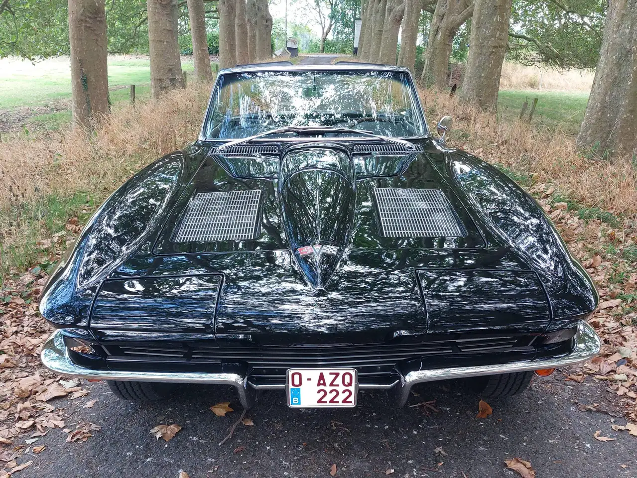 Chevrolet Corvette C2 stingray, foto 4