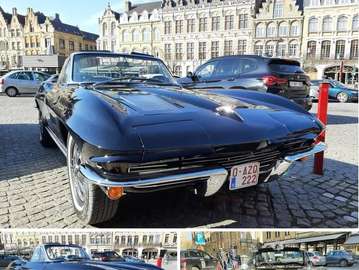 C2 stingray
