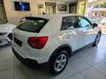 Audi Q2 35 Business Plus 1.5 TFSI 150CV S tronic Navi Blanc - thumbnail 4