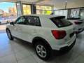 Audi Q2 35 Business Plus 1.5 TFSI 150CV S tronic Navi Blanc - thumbnail 6