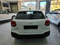 Audi Q2 35 Business Plus 1.5 TFSI 150CV S tronic Navi Blanc - thumbnail 5