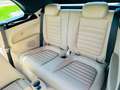 Volkswagen Beetle 2.0 TDI 140cv Sport Negro - thumbnail 19