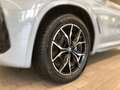 BMW X4 xDrive 20d Grau - thumbnail 3