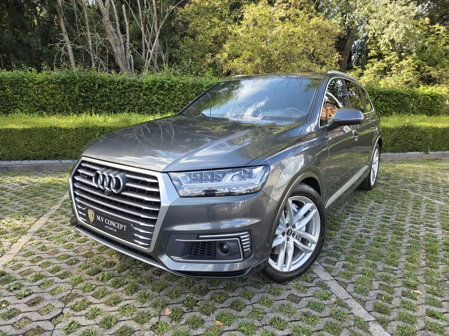 Audi Q7 3.0 TDI e-tron quattro S-LINE / Pano / Cam360° Gris - 1