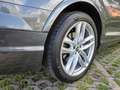 Audi Q7 3.0 TDI e-tron quattro S-LINE / Pano / Cam360° Gris - thumbnail 10