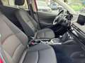 Mazda 2 2 1.5i Skyactiv-G Homura Rojo - thumbnail 10