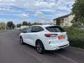 Ford Kuga 2,5 Duratec PHEV ST-Line Aut. Blanc - thumbnail 4