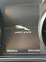 Jaguar F-Pace F-Pace 20d AWD Prestige Aut. Prestige Grau - thumbnail 13