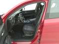 Alfa Romeo Stelvio Business RWD AT8 2.1 Diesel 160CV Rosso - thumbnail 10