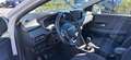 Dacia Jogger 1.0 tce Expression Gpl 100cv 7p.ti Bianco - thumbnail 8