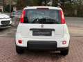 Fiat Panda City Life *1.Hand*Mwst*TÜV*Allwetter Blanc - thumbnail 5