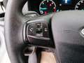 Ford Transit Custom Kasten 2,0 L1H1 260 2 Stk ab 14.000netto Wit - thumbnail 13