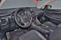 Lexus NX 300 300h Corporate 2WD + Navibox Blau - thumbnail 4