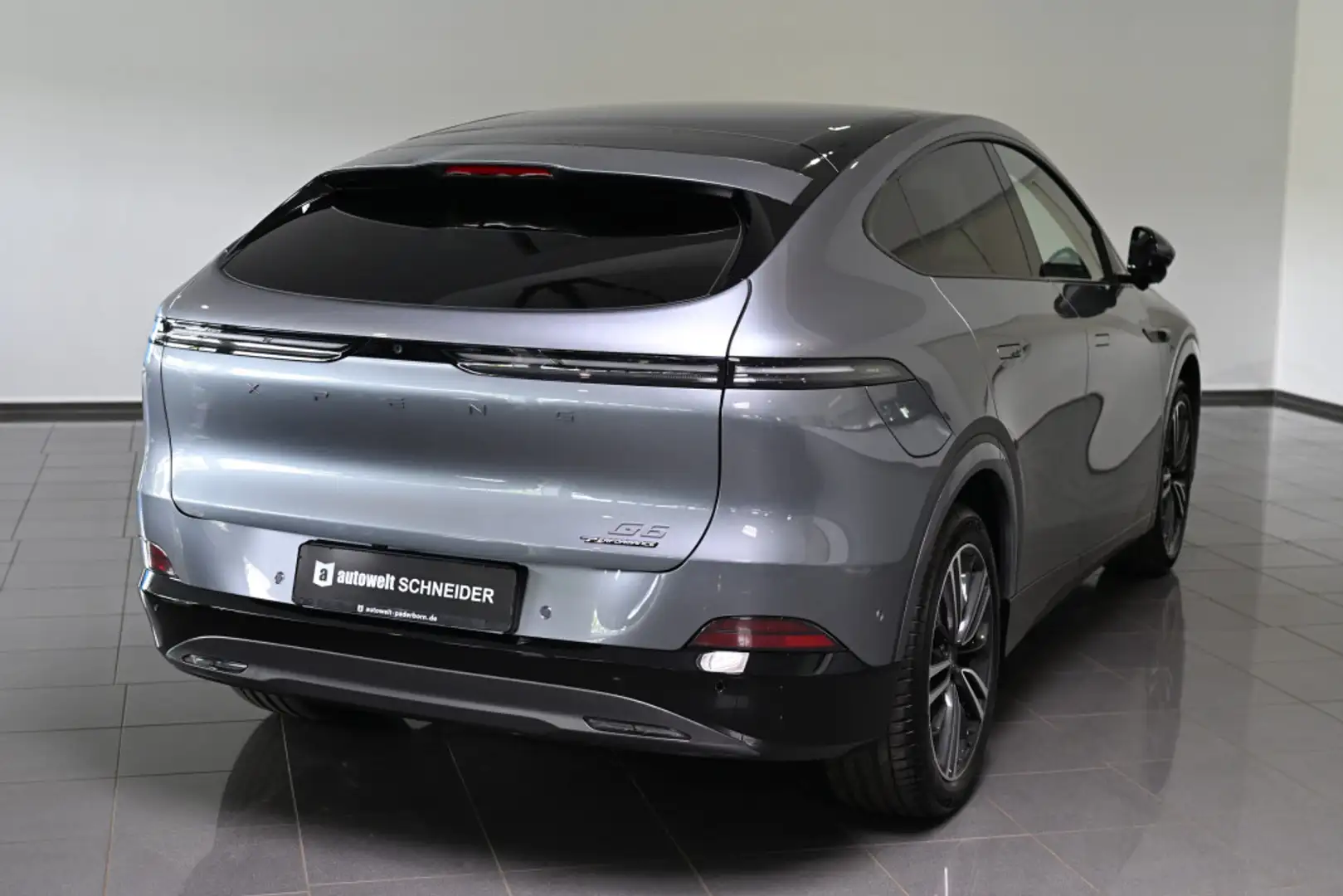 Xpeng AWD Performance AHK Panoramadach 20 Сірий - 2