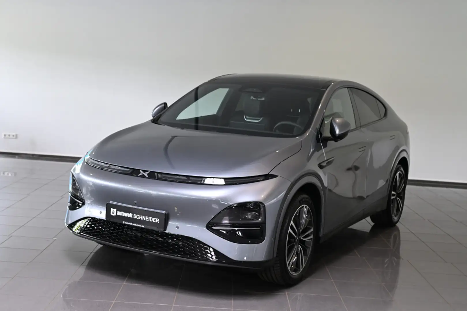 Xpeng AWD Performance AHK Panoramadach 20 Сірий - 1