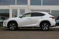 Lexus NX 300h AWD Hybrid President Line I Parel wit I Mark Lev. Weiß - thumbnail 15