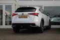 Lexus NX 300h AWD Hybrid President Line I Parel wit I Mark Lev. Weiß - thumbnail 2