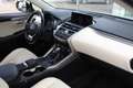Lexus NX 300h AWD Hybrid President Line I Parel wit I Mark Lev. Weiß - thumbnail 39